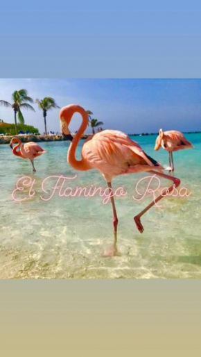 Casa vacanze El Flamingo Rosa Cod IUN P5386 Iglesias